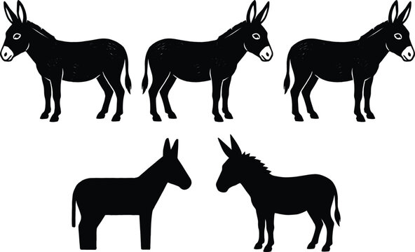 Donkey silhouette variations set black farm animal mule burro isolated vector illustration collection for rural agriculture design