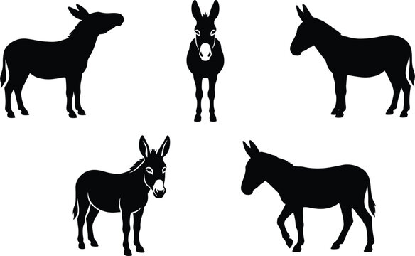 Donkey silhouette set different poses farm animal mule burro black isolated vector illustration collection for agriculture branding