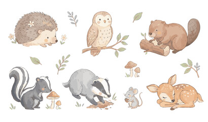 Woodland animals set. Cute hedgehog owl beaver skunk badger mouse deer arts, Collection of Vector illustrations. Perfect for invitation, card, poster, banner, decoration © maria