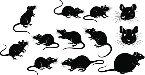 Rat silhouette collection showing multiple poses isolated rodent pest animal vector illustration set