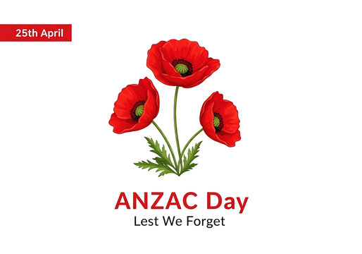 Anzac day commemoration with red poppies on white background isolated on transparent background