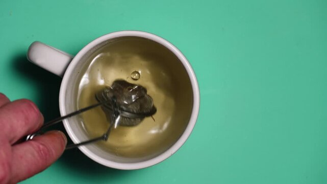 Tea strainer making chammomile herbal tea on green background
