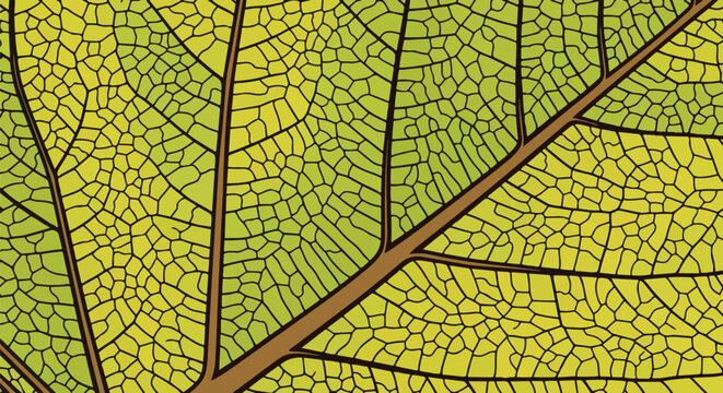 Abstract vibrant leaf venation network showcasing organic cellular structure in natural green and yellow gradients
