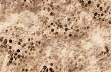 Porous beige organic texture with numerous dark craters and holes. © Cgnomad