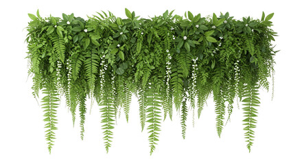 Lush green hanging plants with long ferns and leaves transparent background © MdMasud