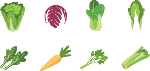 Fresh vegetable icon set with lettuce cabbage bok choy carrot parsley celery, flat vector illustration collection