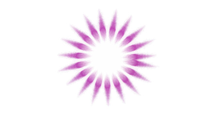 Fototapeta premium Vibrant purple and pink abstract design element with a starburst pattern on a white background, ideal for Holi festival or celebration icons and artistic illustrations.