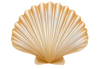 Golden Seashell on White Background