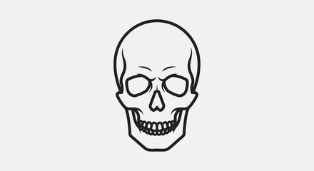 Obraz premium Detailed Outline Human Skull Icon for Halloween and Anatomical Themes, Isolated White Background
