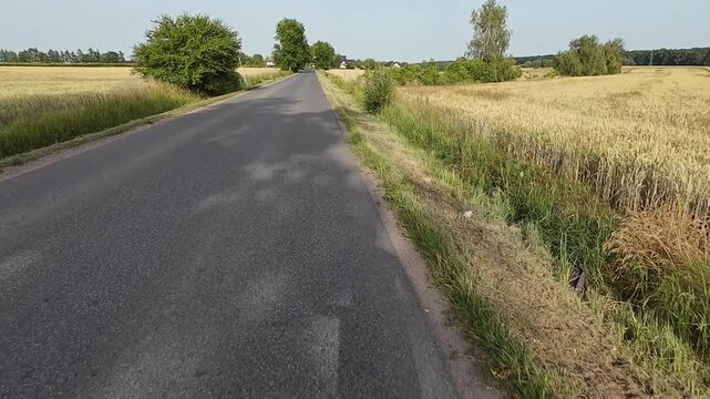 Cycling through the forest.