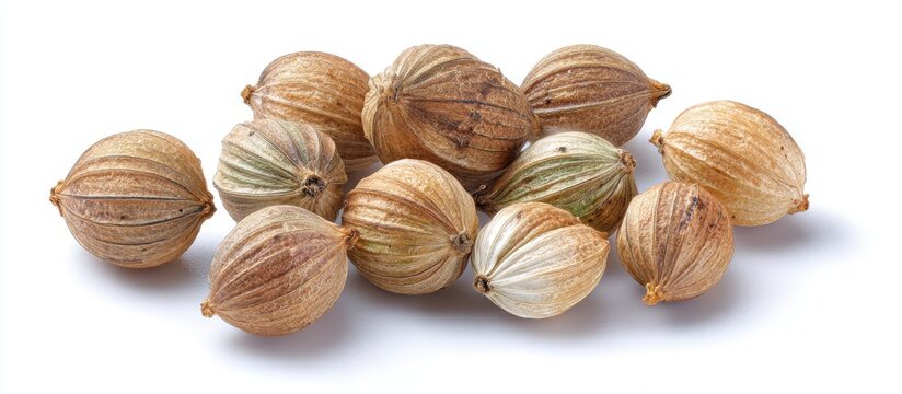 A collection of ten dried, brown, and slightly ribbed whole black cardamom pods scattered isolatedly.