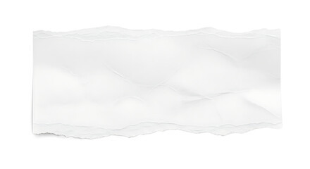 Obraz premium Creative White Texture Banner for Design Projects in Minimalist Style