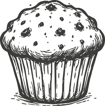 Hand-drawn sketch of a delicious chocolate chip muffin in a paper liner