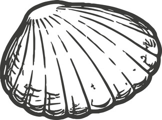 Detailed illustration of a single scallop shell with radiating lines on a white background © Bamby