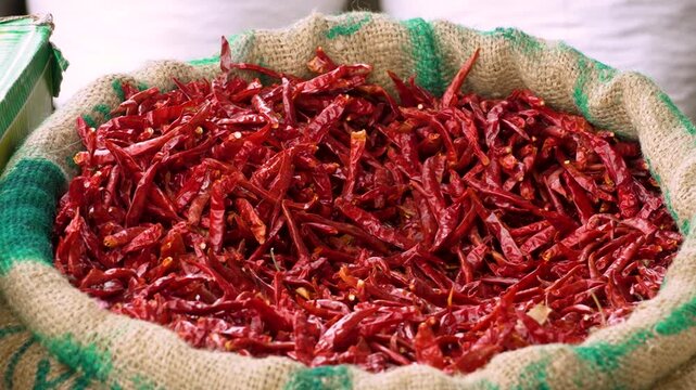 Closeup of dried red chillies at Delhi the local Wholesale Chilli Market. Red hot chili peppers drying unde the sun in India Red hot Bhut Jolokia chilli peppers. Beautiful Footage. 