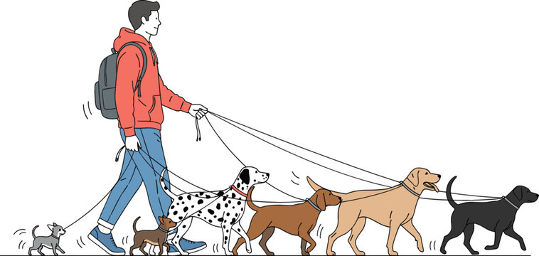 Professional male dog walker with backpack walking many different breeds of dogs on leashes during a daily outdoor exercise