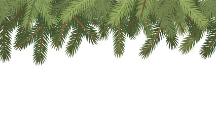 Close Up Of Green Pine Branches With Needles. © Hakagraph