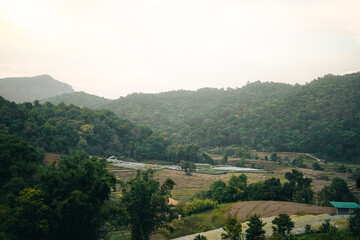 Fototapeta premium Misty mountain green forest rice field rural valley morning light countryside landscape terraced farm nature scenery peaceful view hillside tree
