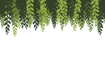 Hanging green vine leaves cascading from the top. © Hakagraph