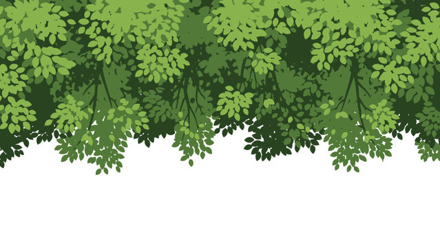 Lush green foliage forming a leafy canopy.