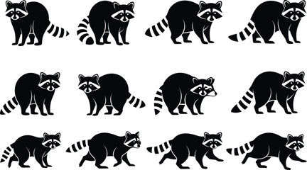 Naklejka premium Raccoon silhouettes collection, cute wild animal poses, black woodland mammal icons set for logo, mascot, vector design