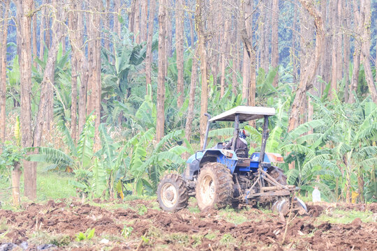 Farmer operating tractor in lush tropical forest clearing