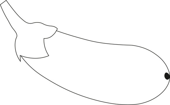 Blank White Space, Empty Canvas, Minimalist Background, Simple Design