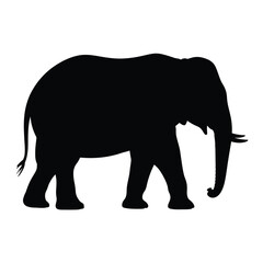 Fototapeta premium A striking silhouette of an african elephant standing in profile view