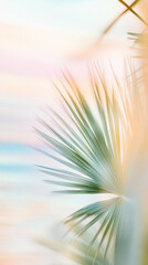 Obraz premium Blurry out-of-focus palm trees with pastel sky background