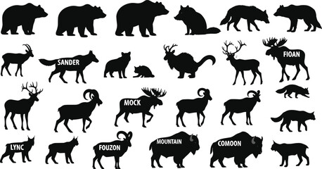 Black wild animal silhouettes set with bear, fox, deer, moose, and bison icons, wildlife nature silhouettes collection on white background © Samina