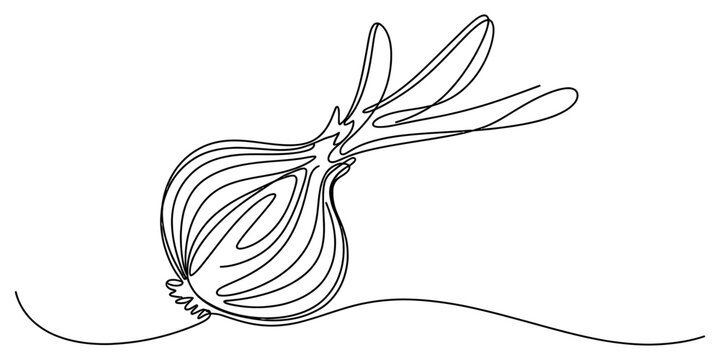 A minimalist continuous line drawing of a garlic bulb with roots