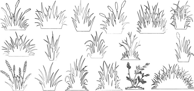 Plant elevation line silhouettes outline - grass, shrub, tree big set vector