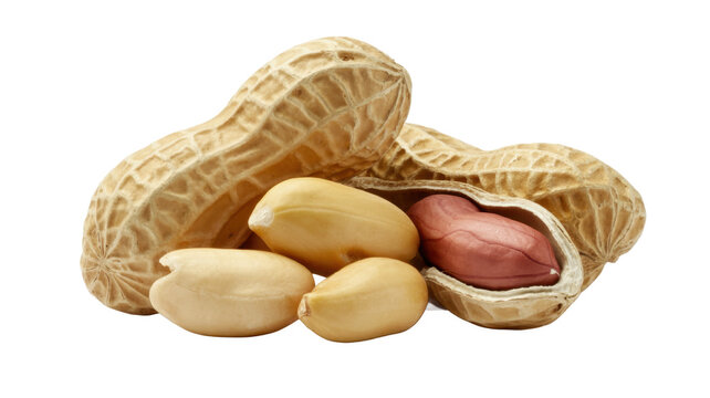 Peanuts in shell with some shelled peanuts isolated on a transparent background