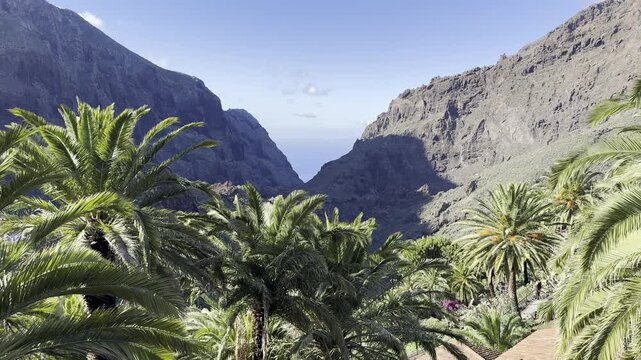 Traditional Masca Village in Green Mountains of Tenerife