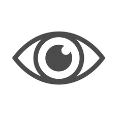 Eye View Visibility Icon in Minimal Flat Gray Style Isolated on White Background