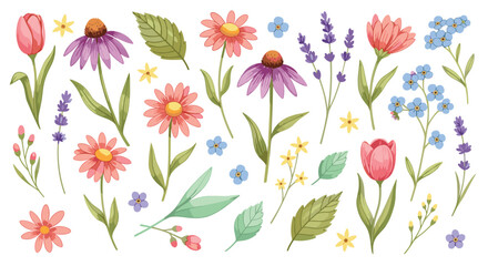 Delicate wildflower watercolor illustration set with pastel blossoms and botanical elements, hand painted floral collection isolated on white background