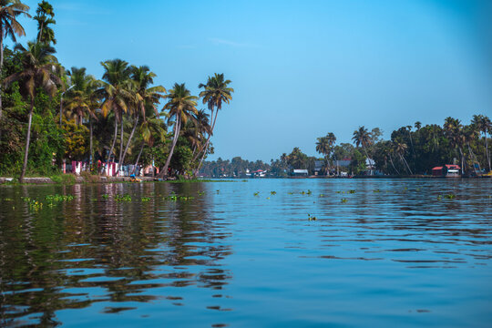 A serene view of traditional houseboats cruising through the peaceful backwaters of Alleppey Backwaters. Surrounded by lush coconut trees, calm waterways, and vibrant village life, Kerala, India