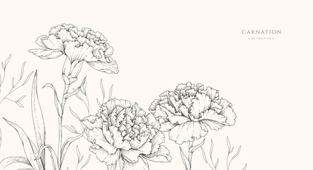 Naklejka premium Spring background with carnation flowers and brunch. Spring detailed hand drawn illustration floral elements for Mothers day, wedding invitation and line art
