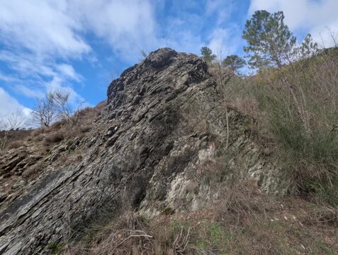 Formazione rocciosa inclinata con strati ben visibili e segni di piegamento geologico. La scena mostra dettagli della struttura della roccia, crepe naturali e vegetazione spontanea  