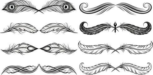 Black and white feather and swirl decorative for quill peacock © hr graphics