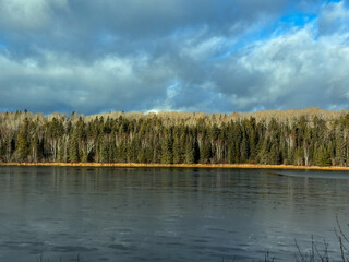 Fototapeta premium Evergreens lining a northern lake