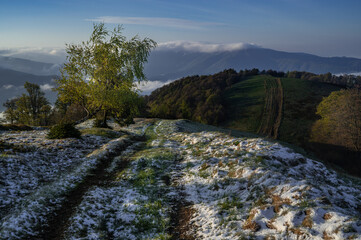 Fototapety na wymiar - Fototapeta24.pl