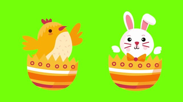 chick and bunny hatching from colorful easter eggs on green screen