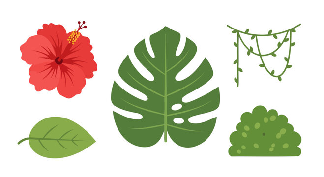 Vibrant Tropical Botanical Elements Vector Illustration Set with Hibiscus Flower Monstera Leaf and Jungle Foliage.