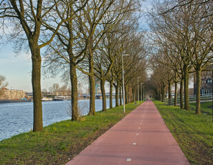 Fototapeta premium treelined bicycle and pedestrian road along the canal on a sunny day in Utrecht, the Netherlands 