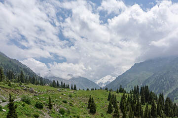 Panoramic view of a snow-capped mountain peak and green alpine meadows with spruce forest in Kazakhstan Central Asia