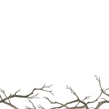 Watercolor seamless boder twisted, bare tree branches perfect for book covers, dark fantasy themes, and Halloween projects