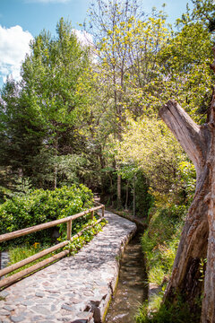 Trees and stone path on Rec del Sola trail in Andorra la Vella on a sunny day