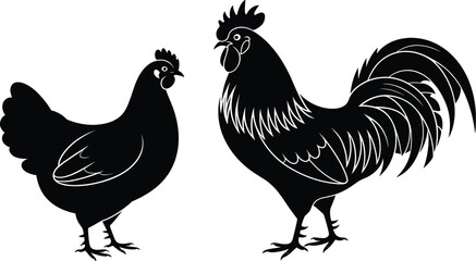 Black silhouette of a rooster and a hen on a white background chicken bird © It's Sahed