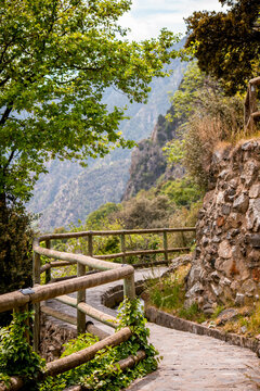 Trees and stone path on Rec del Sola trail in Andorra la Vella on a sunny day